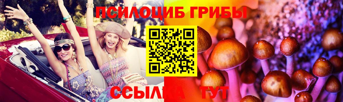 Южноуральск  Галлюциногенные грибы мухоморы  Вход с VPN 
